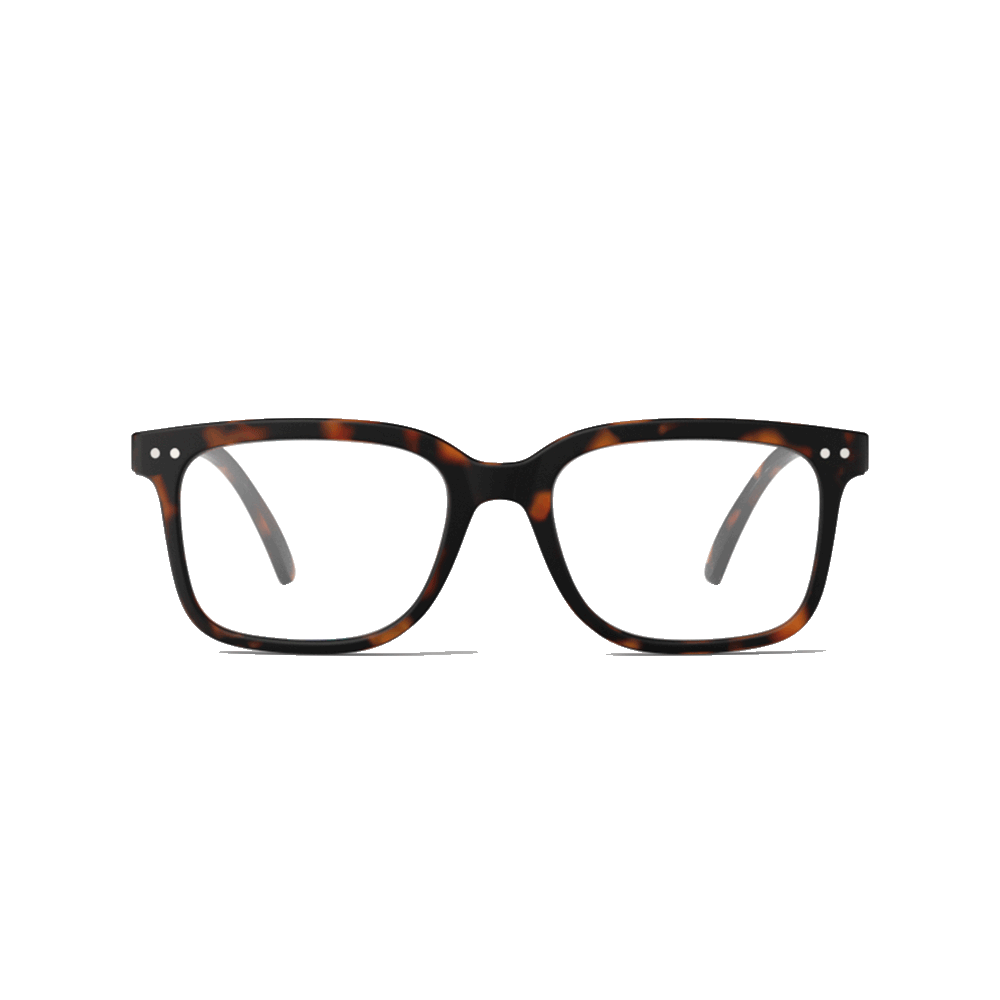 nur-21-00-eur-fur-izipizi-lunettes-reading-l-tortoise-online-im-shop_3.png