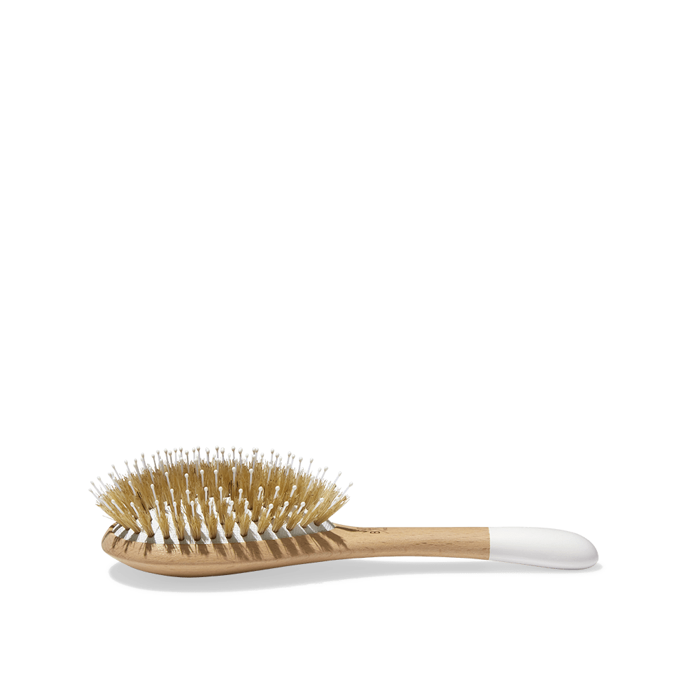 nur-20-80-eur-fur-petite-brosse-de-demelage-et-lissage-bachca-online-im-shop_2.png